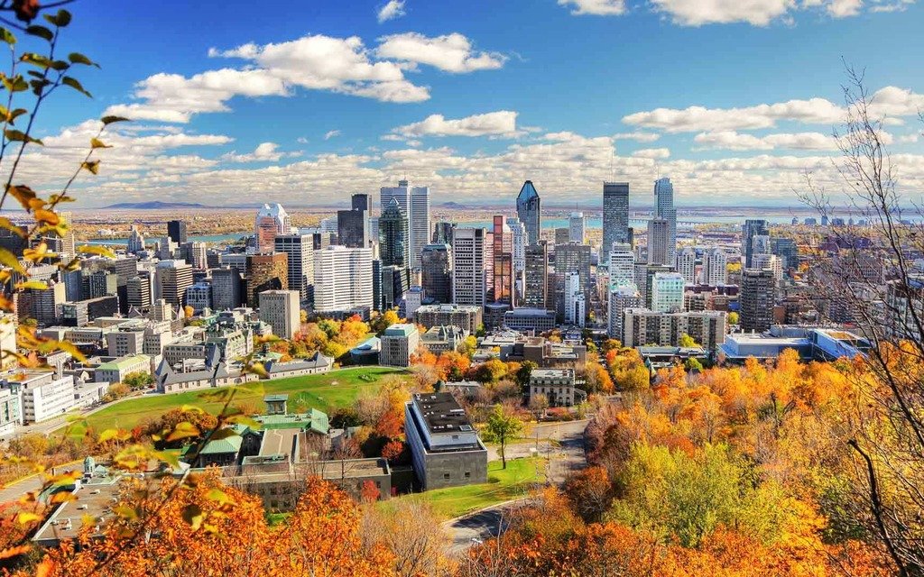 پیش بینی های صنعت خودرو در سال 2020