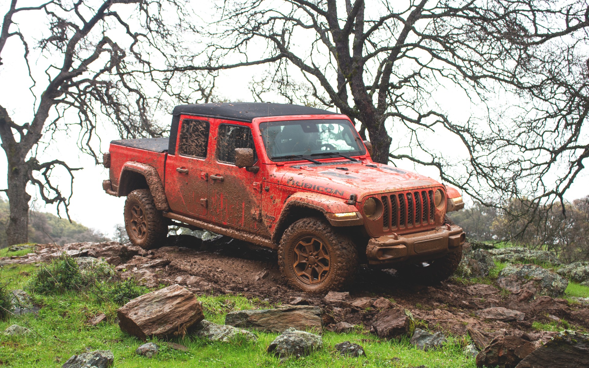 برندگان برترین خودرو های آمریکای شمالی