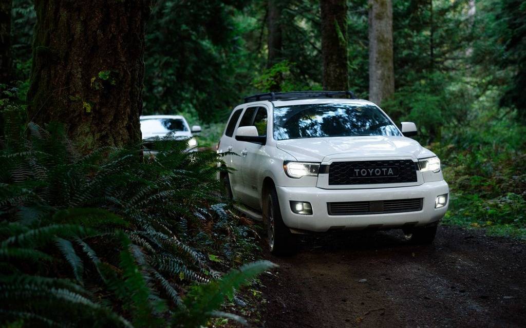 تویوتا سکویا