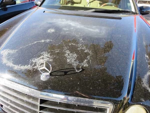 خودروی تصادفی