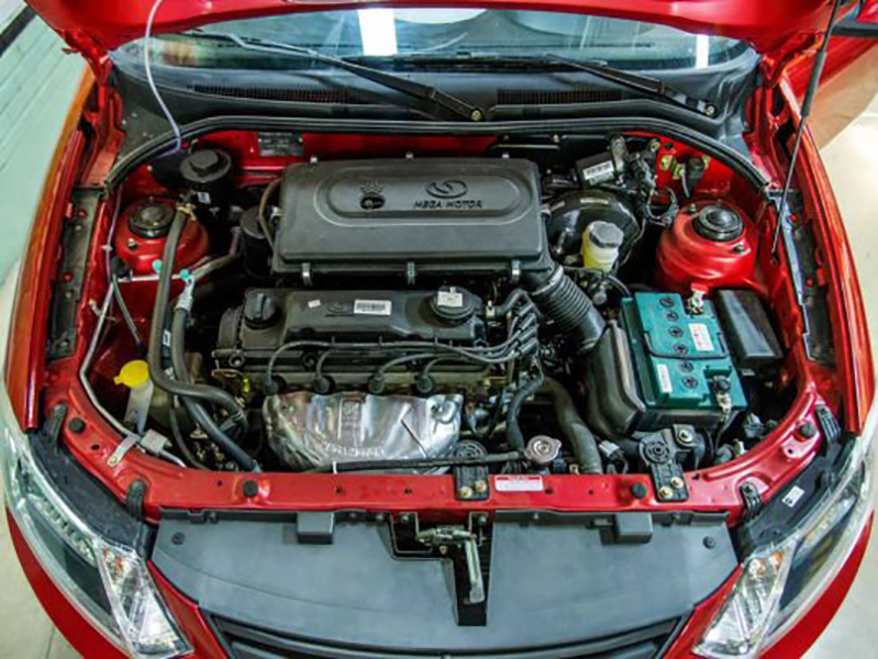 انواع تیپ‌های ساینا